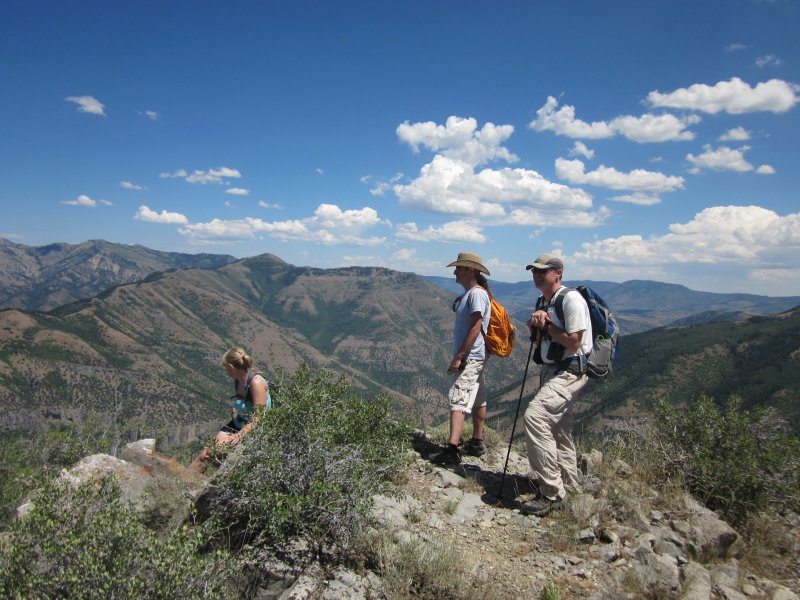 Looking over Logan Canyon